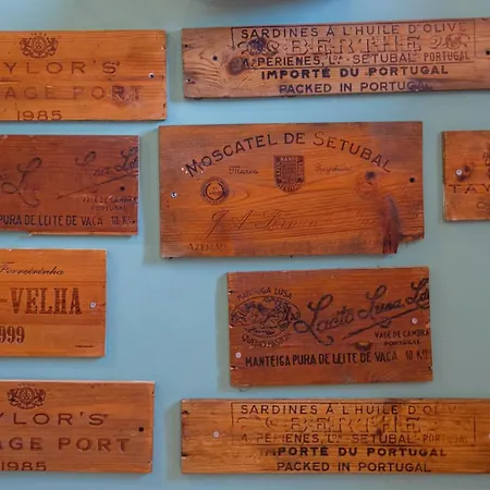 Y Quebedo - Boutique Setubal